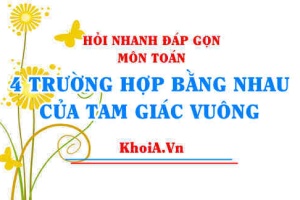 4 trường hợp bằng nhau của tam giác Vuông - Hỏi nhanh đáp gọn môn Toán